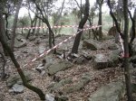 DSC06279.JPG