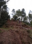 DSC06287.JPG