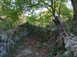 DSCN1014 (Medium).JPG
