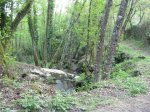DSCN1017 (Medium).JPG