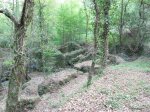 DSCN1018 (Medium).JPG