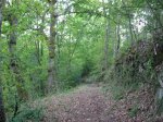 DSCN1021 (Medium).JPG