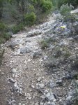 Imagen 015.jpg