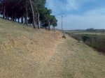medinense6.jpg