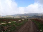DSC00466.jpg
