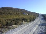 DSC00408.jpg