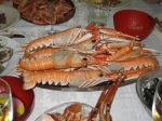 IMG_0287.jpg