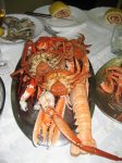 Navidad 2008-3.jpg