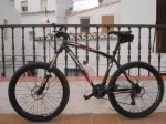 bici2.jpg