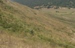 puentedey08_004.jpg