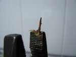 IMG_1082_1.jpg