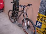 TREK SLR 002.jpg