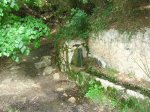 DSCN6973.JPG