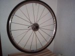 shimano r-550 3.JPG