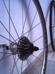 shimano r-550 4.JPG