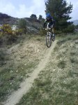 DSC07463.jpg