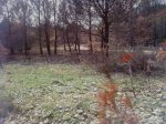 P03-04-09_16.31.jpg