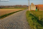 jg01-cobbles[1].jpg