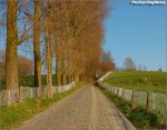 jg01-koppup[1].jpg
