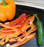 09feb-veg.jpg