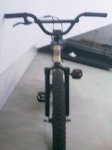 IMAG0135.jpg