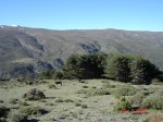 Imagen 457.jpg