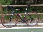 BICI (7).jpg