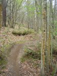 DSC02364.jpg