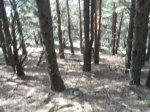 P4040473.JPG