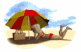 be350b1b72acd9283168628e41377dd5.gif