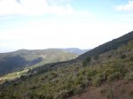 LA COVA PER REFUGUIS4 -4-2009 020.jpg