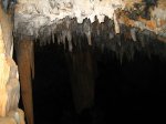 IMG_2945.jpg