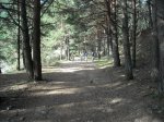DSCN0245.jpg