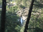 IMG_3545.jpg