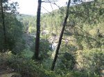 IMG_3546.jpg