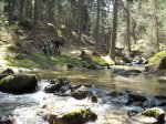 DSCN0317.jpg