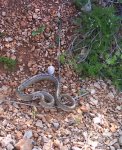 DSC00232.JPG