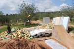 Imagen 026.jpg