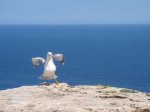 PanoramaIslaFormentera 21.jpg