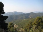 IMG_1100.jpg