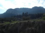 DSCF1839.JPG