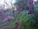 DSC00005.jpg