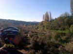 DSC00007.jpg