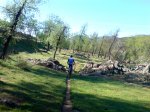 DSC00012.jpg