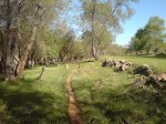 DSC00016.jpg