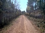 DSC00027.jpg