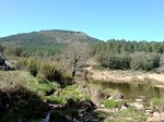 DSC00039.jpg