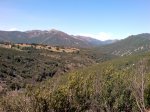 DSC00047.jpg