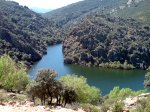 DSC00057.jpg