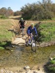 030409mtb 009.jpg